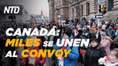 NTD Noticias: Miles se unen a la protesta en Ottawa; Dispersan Convoy de Francia con gas lacrimógeno