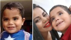 Tras muerte de su hijo, padres deciden donar sus órganos salvando la vida de 6 niños de su edad