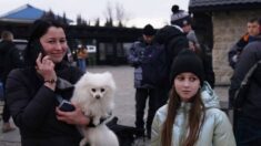 Países vecinos de Ucrania permiten ingresar  mascotas sin papeleo veterinario: ¡También ellos importan!