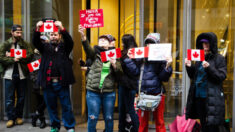 Neoyorquinos celebran manifestación en apoyo a camioneros canadienses