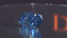 El mayor y más valioso diamante azul que se haya encontrado se subastará en Sotheby’s Hong Kong