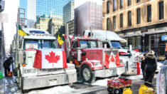 Convoyes de protesta se extienden por el mundo a medida que camioneros lideran lucha contra mandatos