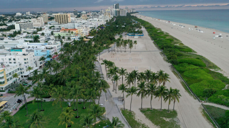Vista aérea de palmeras a lo largo de Ocean Drive el 27 de octubre de 2021 en Miami Beach, Florida. (Joe Raedle/Getty Images)