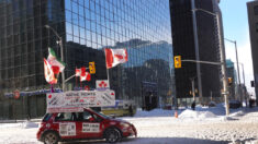 Legislador canadiense afirma que congelaron la cuenta de una madre soltera que donó USD 50 al convoy