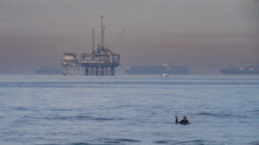 Perforación petrolera en alta mar de California quedaría prohibida según nuevo proyecto de ley