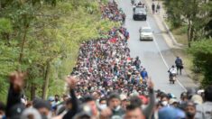 EE.UU. se ofrece a trabajar con Honduras para promover una migración “segura y ordenada”