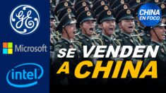 Grandes corporaciones ponen al mundo en peligro. No hay leyes para ellas ni para China