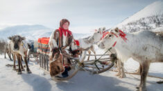 Fotógrafo refleja la vida de los pastores nómadas de renos de Siberia en increíble serie fotográfica