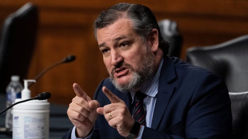 El senador Ted Cruz (R-Texas), miembro del Comité de Relaciones Exteriores del Senado, habla durante una audiencia para examinar la política entre Estados Unidos y Rusia en el Capitolio de EE.UU., el 7 de diciembre de 2021. (Alex Brandon/POOL/AFP vía Getty Images)
