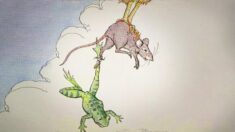 Fábulas de Esopo: La rana y el ratón