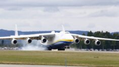 Avión de carga más grande del mundo fue destruido en un aeropuerto disputado de Kiev: Gob. ucraniano