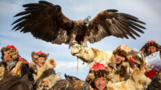Viajero holandés toma impresionantes imágenes de cazadores kazajos: «El águila es parte de la familia»