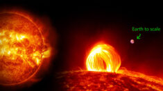Artista crea impresionante video del Sol usando datos del Observatorio de Dinámica Solar de la NASA