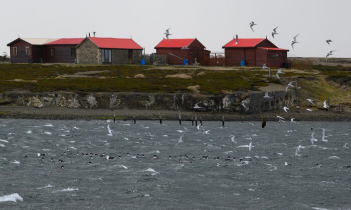 Vista de las Islas Malvinas (Falkland Islands), el 10 de octubre de 2019. (Pablo Porciuncula Brune/AFP vía Getty Images)

