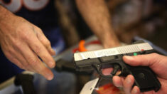 Gobierno federal tiene registros de más de 920 millones de armas vendidas: Informe