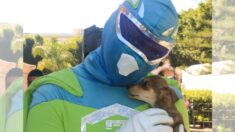 «Zadrigman» el superhéroe mexicano que rescata perritos: «Venimos a la Tierra a servir»