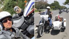 Colombiano adapta su moto para hacer lo que más disfruta en la vida, ¡estar con su mascota y rodar!