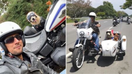 Colombiano viaja en moto con su perro: «Amamos salir a rodar y sentir los buenos vientos»