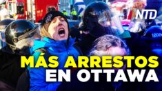 NTD Noticias: Ottawa: Policía comienza a detener a manifestantes; Biden: Putin ha decidido invadir