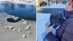 Policía rescata a mujer y su perrito que cayeron en estanque de agua congelada