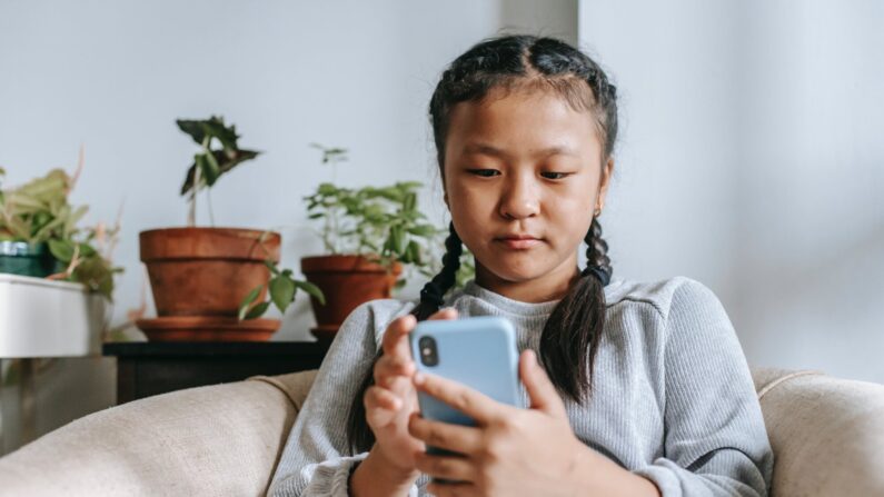 El tiempo de pantalla, los alimentos procesados, los antibióticos, las toxinas ambientales y los fármacos psiquiátricos tienen relación con la obesidad. (pexels-photo-5905834)