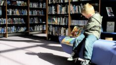 Niño de 8 años escribe su primer libro y lo pone en secreto en su biblioteca local: ahora es un éxito