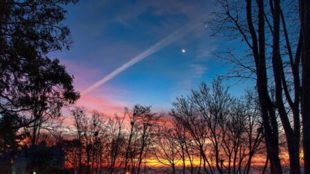 Venus, el lucero del alba, brillará con más fuerza a partir de hoy