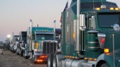 Caravana de camioneros de EE.UU. crece mientras avanza por el país hacia D.C.