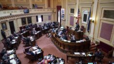 Senado de Virginia aprueba proyecto de ley que prohibe mandato de mascarillas en escuelas