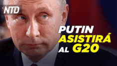 Embajadora: Putin planea asistir al G20; Rusia advierte colapso del mercado de petróleo