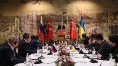 Se reanudan en Turquía las negociaciones entre Rusia y Ucrania con “nuevas esperanzas de paz”