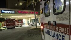 Muere un niño de 3 años por el calor dentro de un auto en Florida