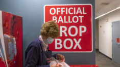 Illinois negó ilegalmente a grupo electoral el acceso a registros de votantes, según una corte federal