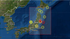 Japón activa la alerta de tsunami tras fuerte terremoto de 7.3 en Fukushima