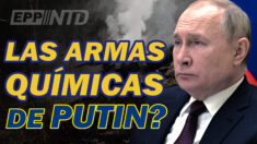 ¿Tiene Putin armas químicas?| Inflación máxima en 4 décadas| P. Ley prohíbe la TCR en Florida
