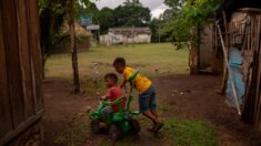 Brasil: Rescatan a 2 niños indígenas tras perderse más de 20 días en el Amazonas