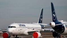 Grupos de aviación piden levantar todas las restricciones COVID en los viajes aéreos
