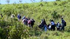 Detienen en Honduras a 2 coyotes con 8 inmigrantes nicaragüenses y 4 chinos