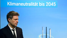 Ministro de Economía alemán no está a favor a detener importación de energía rusa