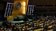 Asamblea General de las Naciones Unidas pide la retirada inmediata de las fuerzas rusas en Ucrania