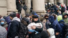 Operaciones militares suspenden corredores humanitarios previstos en Ucrania