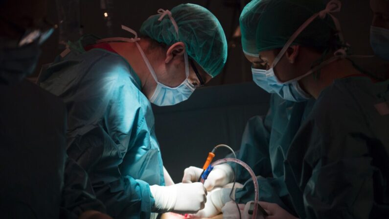 Médicos en España realizan un trasplante renal a un paciente en Madrid el 28 de febrero de 2017. (PIERRE-PHILIPPE MARCOU/AFP vía Getty Images)