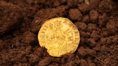 Moneda de oro de Enrique III hallada por buscador de metales aficionado se subasta en USD 875,000