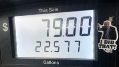 Tres estados suspenden los impuestos sobre la gasolina y otros 20 estudian propuestas similares