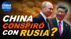Aseguran que China ayudó a Rusia a invadir Ucrania. Nuevo caso espeluznante: mujer enjaulada