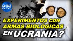 Laboratorios de armas biológicas financiados por EE.UU. en Ucrania. ¿Verdad o falsa información?