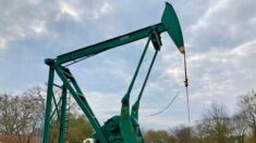 El petróleo de Texas puede “liderar el camino”, pero ¿se le permitirá hacerlo?
