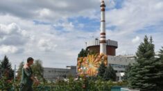 Fuerzas armadas rusas se acercan a la segunda mayor planta nuclear de Ucrania, dice enviada a la ONU