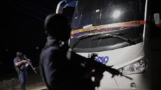 Sicarios asesinan a 19 personas en un palenque de gallos en el oeste mexicano