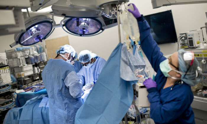 Un riñón se cose a un paciente receptor durante un trasplante de riñón en el Hospital Johns Hopkins, el 26 de junio de 2012 en Baltimore, Maryland. Los médicos de Johns Hopkins trasplantaron el riñón de un donante vivo al receptor del paciente. (Brendan Smialowski/AFP/Getty Images)